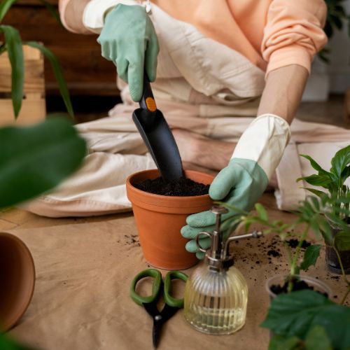 7 błędów w pielęgnacji roślin zimą, których warto unikać